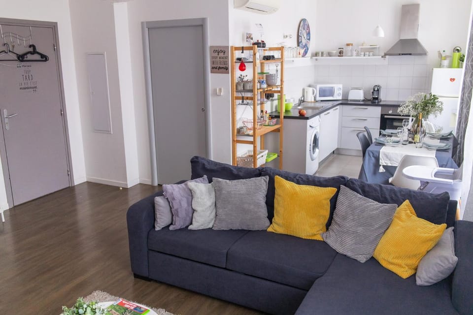 City center duplex loft Apartment in Colmar