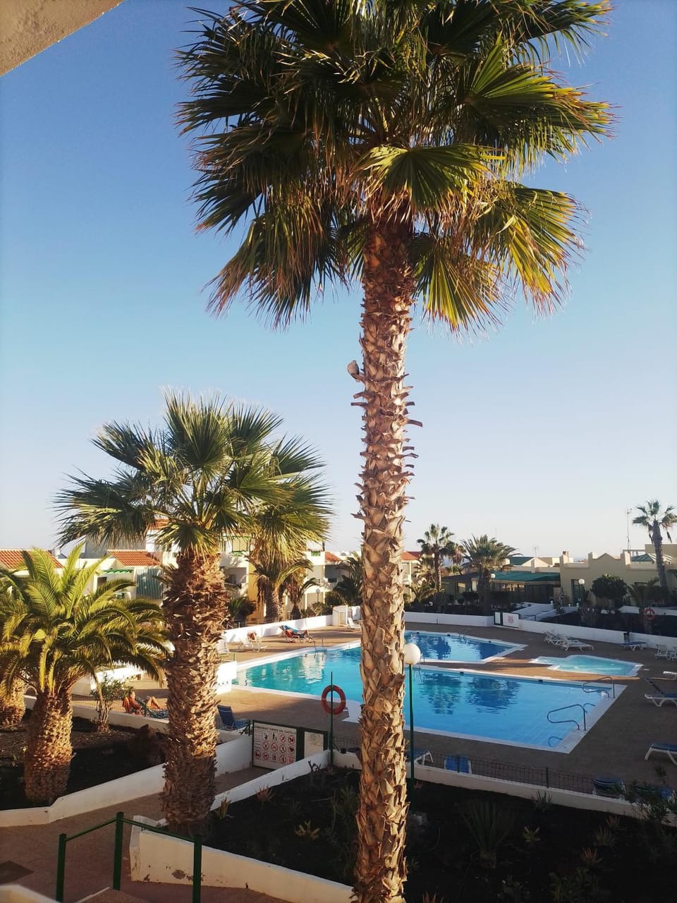 Day, Swimming pool