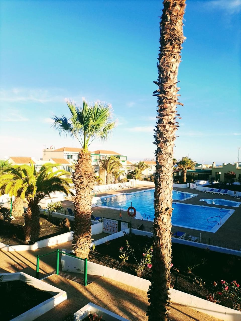 Pool view, Swimming pool