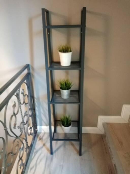 Casa Allegra Apartment in Palermo