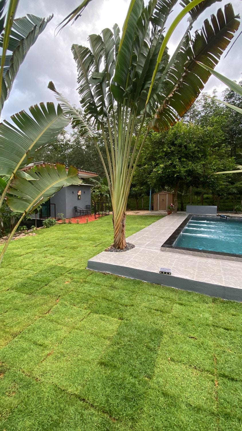 Noi’s Paradise Homestay House in Thailand