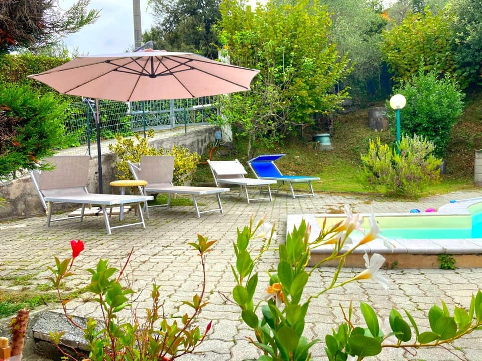 Garden, Swimming pool, sunbed
