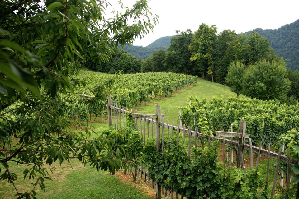 Natural landscape, Garden view, Mountain view