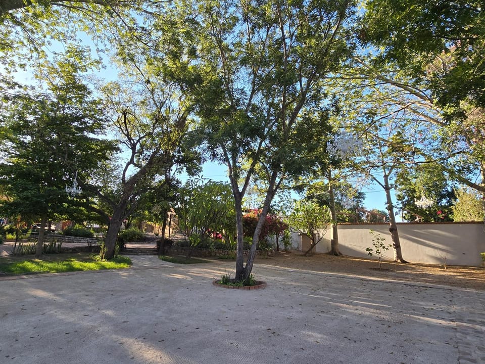 La Quinta en Alamos House in Alamos