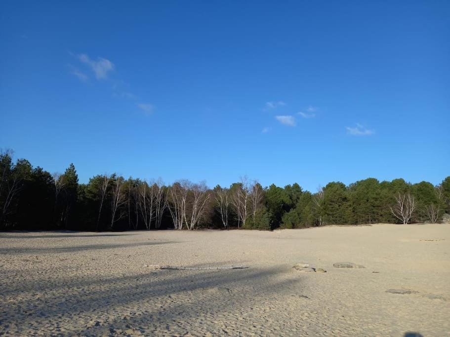 Natural landscape