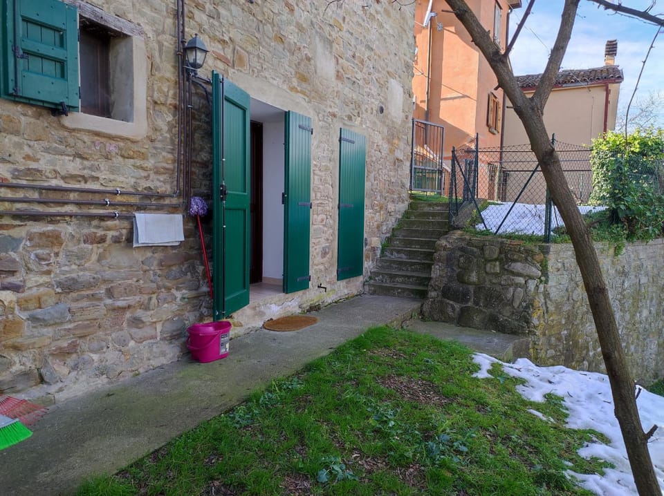 Property building, Spring, Day, Winter, Garden