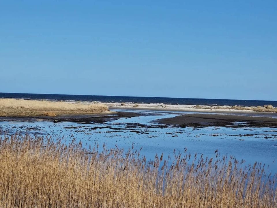 Lake view