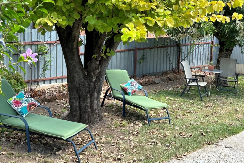 Garden, sunbed