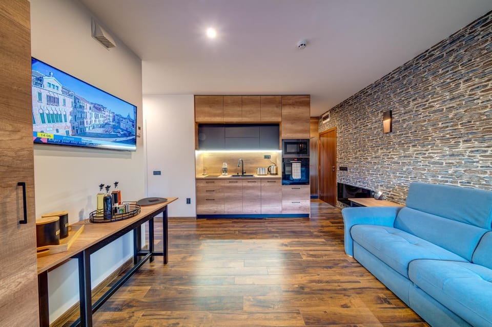 TV and multimedia, Kitchen or kitchenette, Living room, Photo of the whole room, Seating area, oven