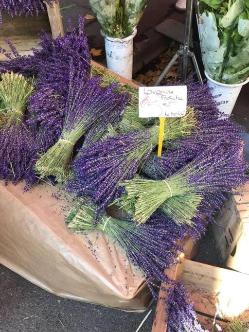 La Petite Cave House in Apt