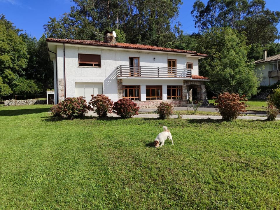 Property building, Day, Garden, Garden view