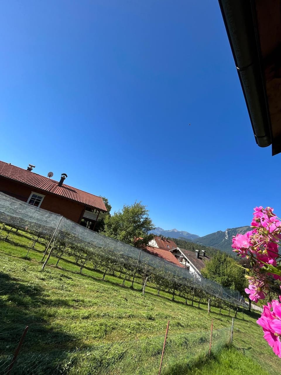 Haus Huber, Waltraud Huber Apartment in Grassau