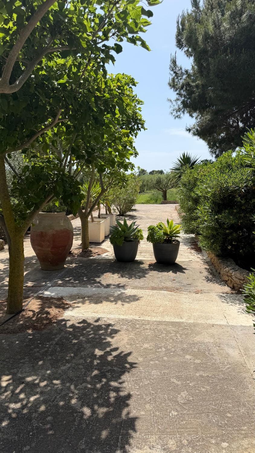 Casa ulivo Agave Favignana At My Place Apartment in Sicily