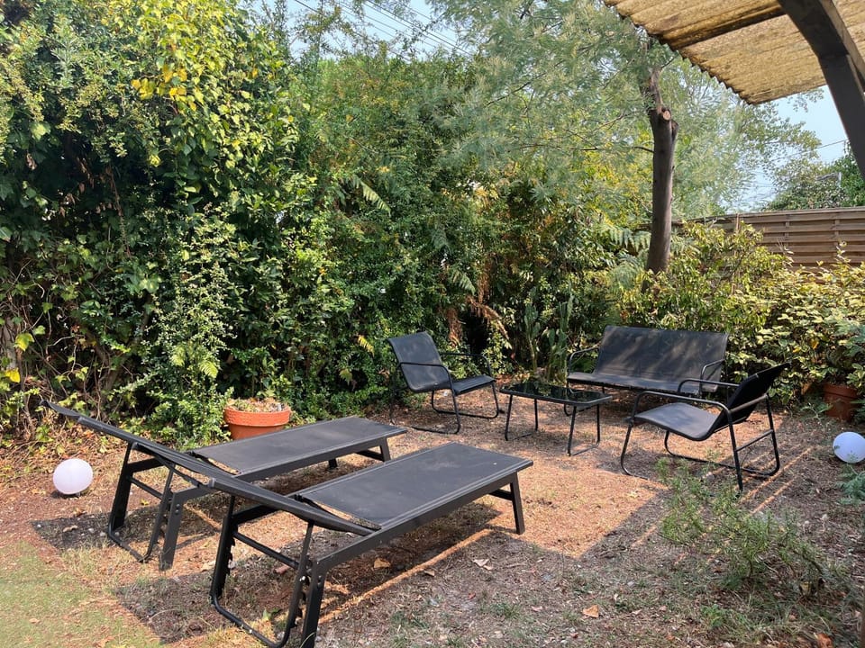 Patio, Spring, Garden, Garden view, sunbed