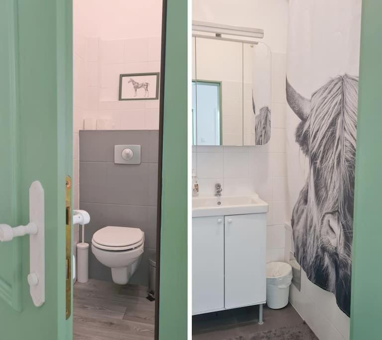Toilet, Bathroom