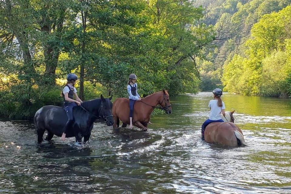 Natural landscape, Horse-riding, Animals, Lake view, children