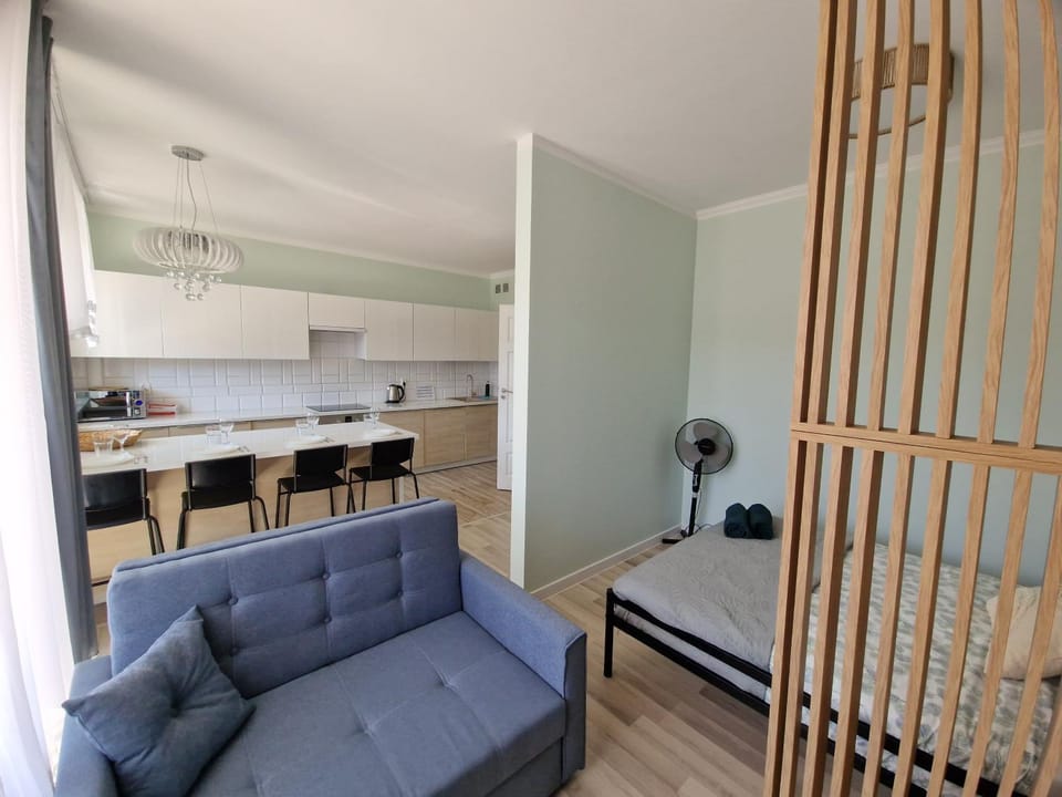 Kitchen or kitchenette, Living room, Photo of the whole room, stove
