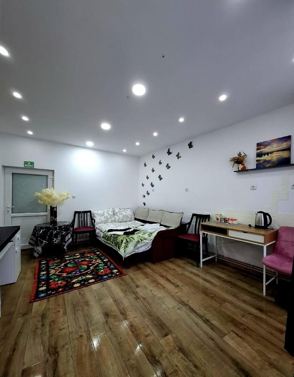 Apartament Medina Apartment in Cluj County