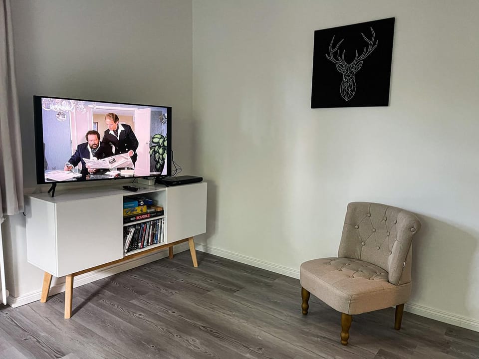 TV and multimedia