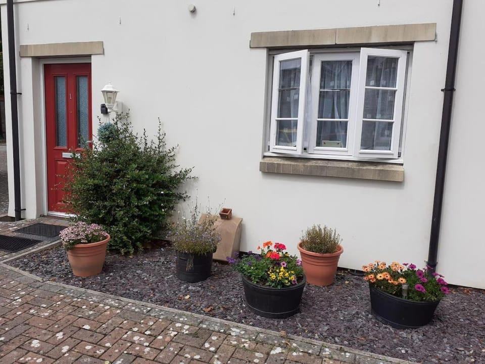 Property building, Garden, Garden view