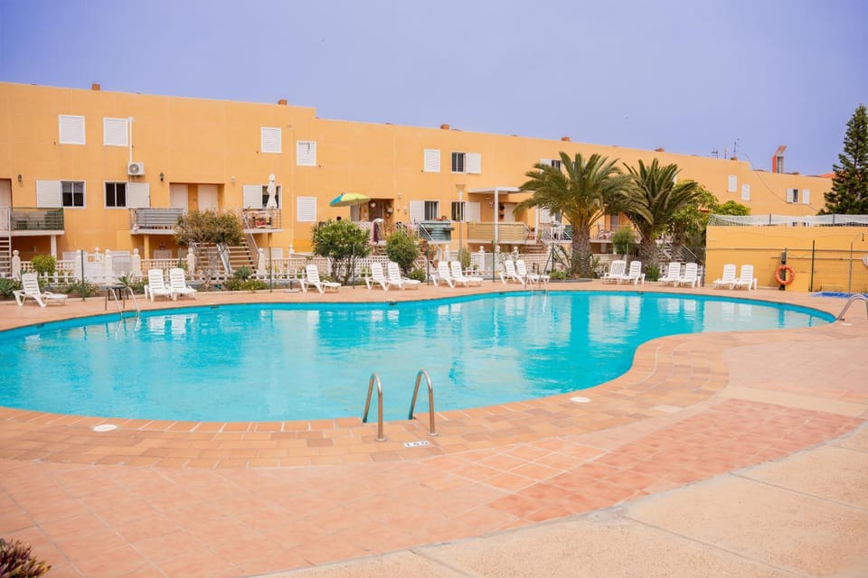 Day, Pool view, Swimming pool, sunbed
