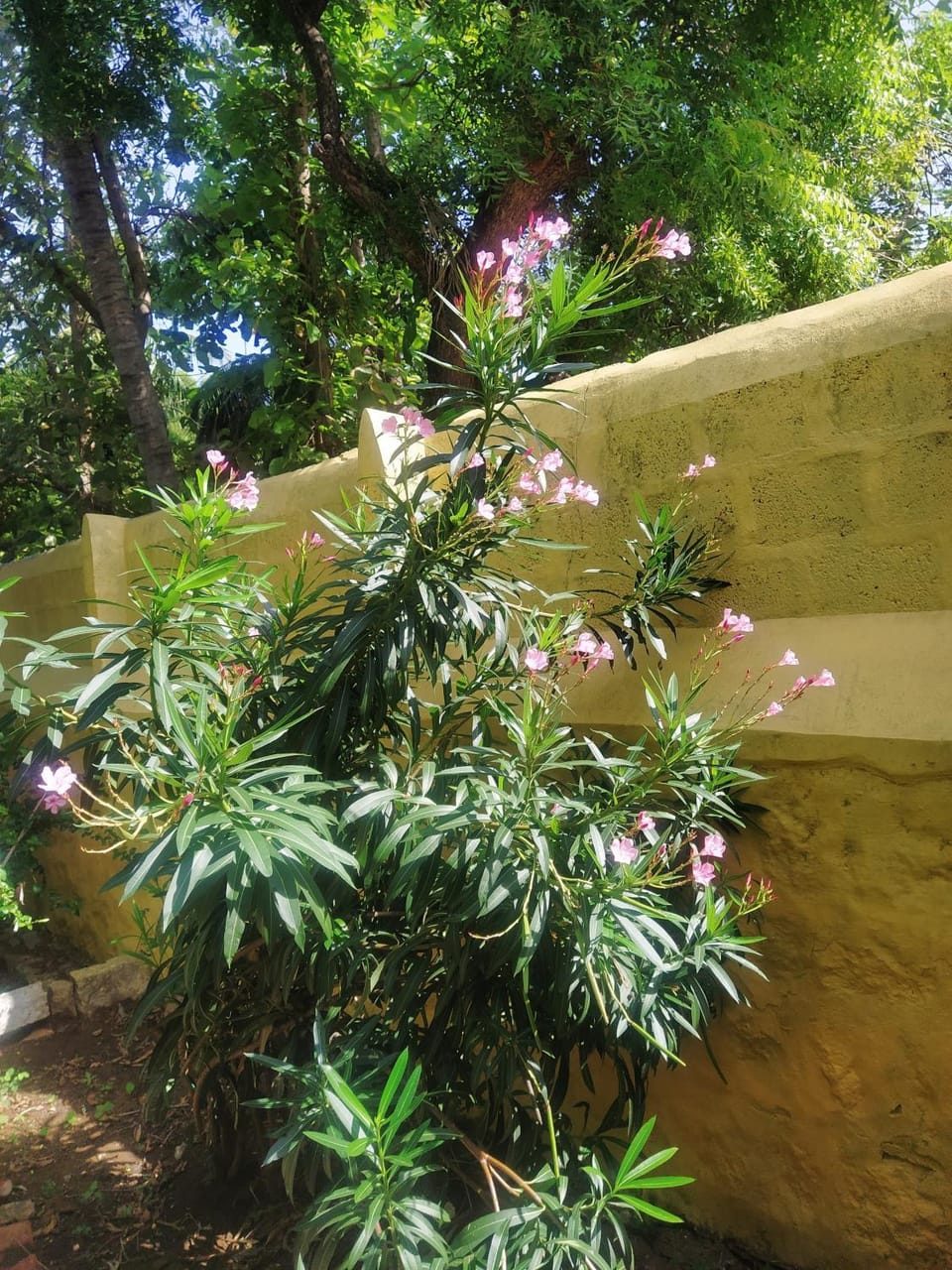 Kallidai Home Stay Villa in Tamil Nadu