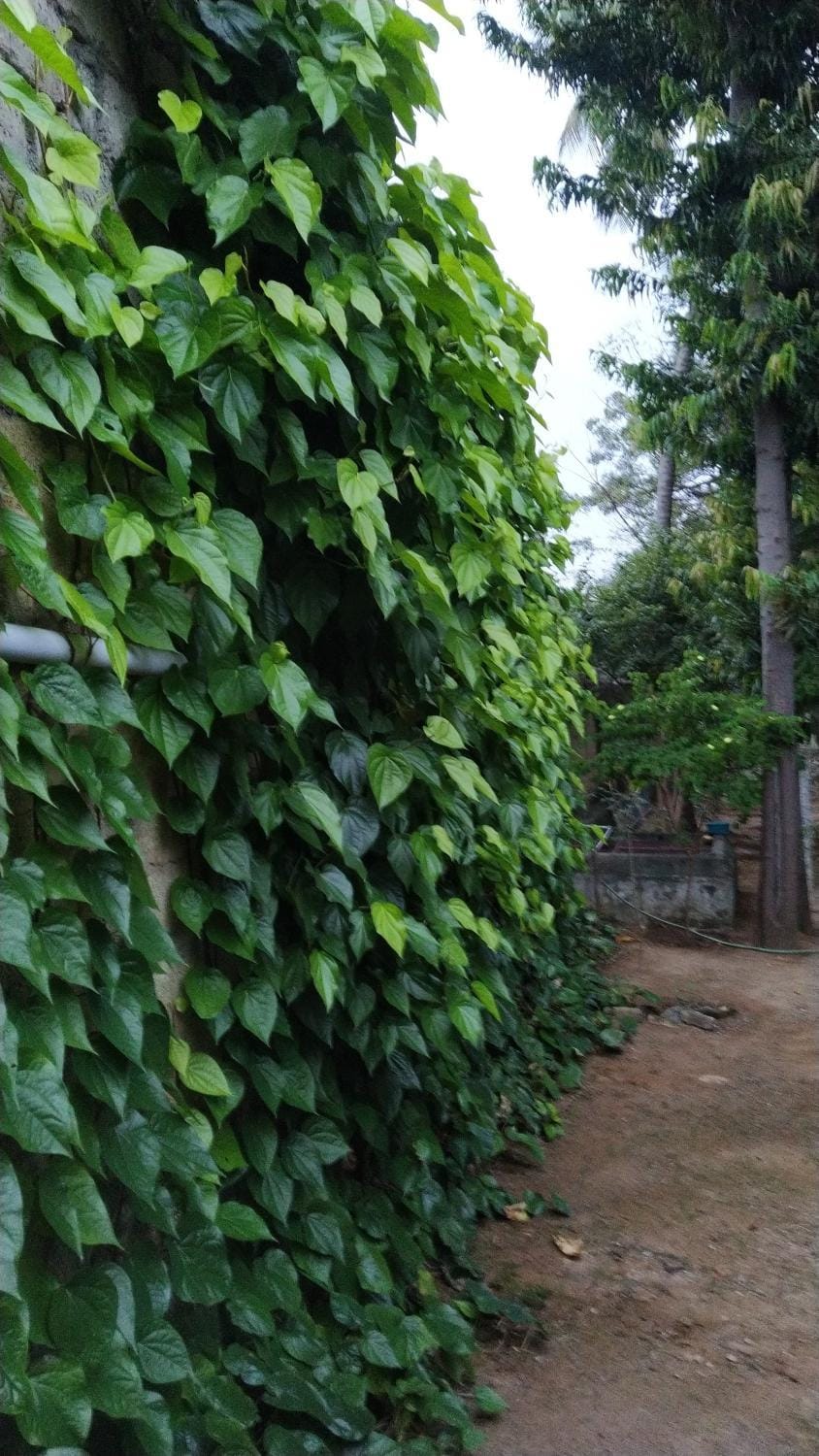 Kallidai Home Stay Villa in Tamil Nadu