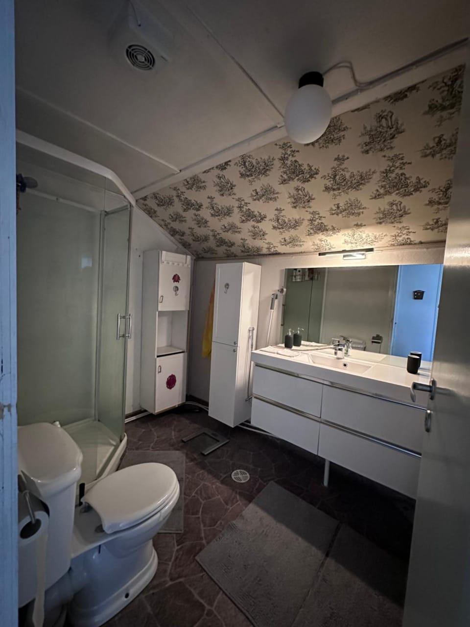 Shower, Toilet, Bathroom, bidet
