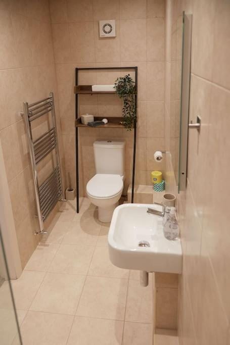 Duck Cottage in the centre of Henley Apartment in Henley-on-Thames