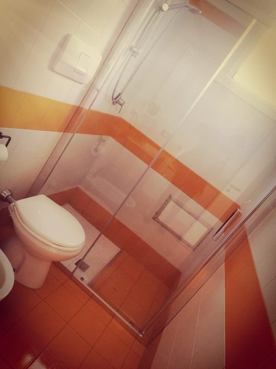 Shower, Toilet, Bathroom, bidet