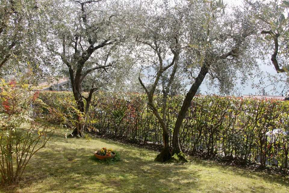 Garden, Garden