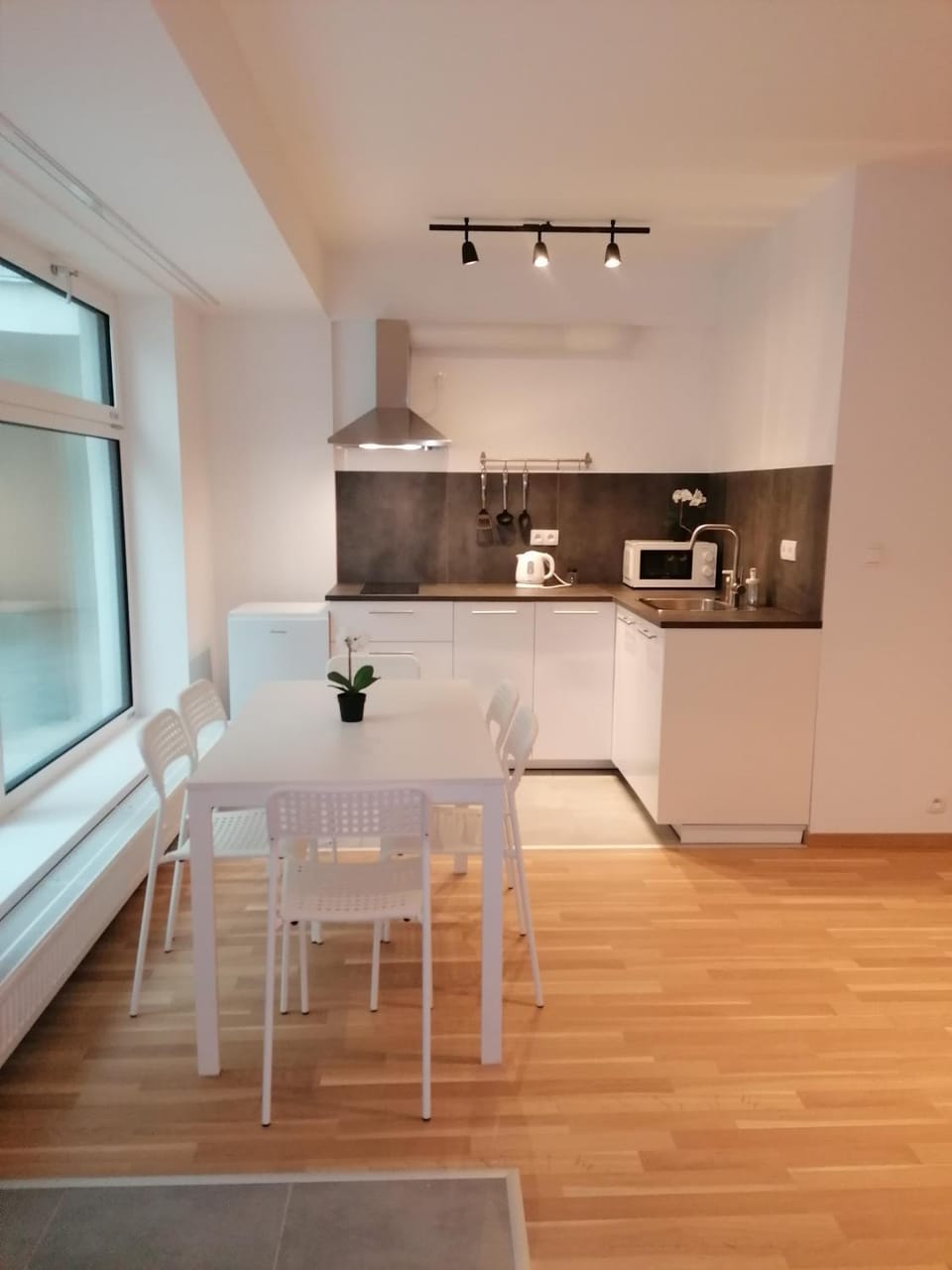 Kitchen or kitchenette, Dining area, minibar, kitchen