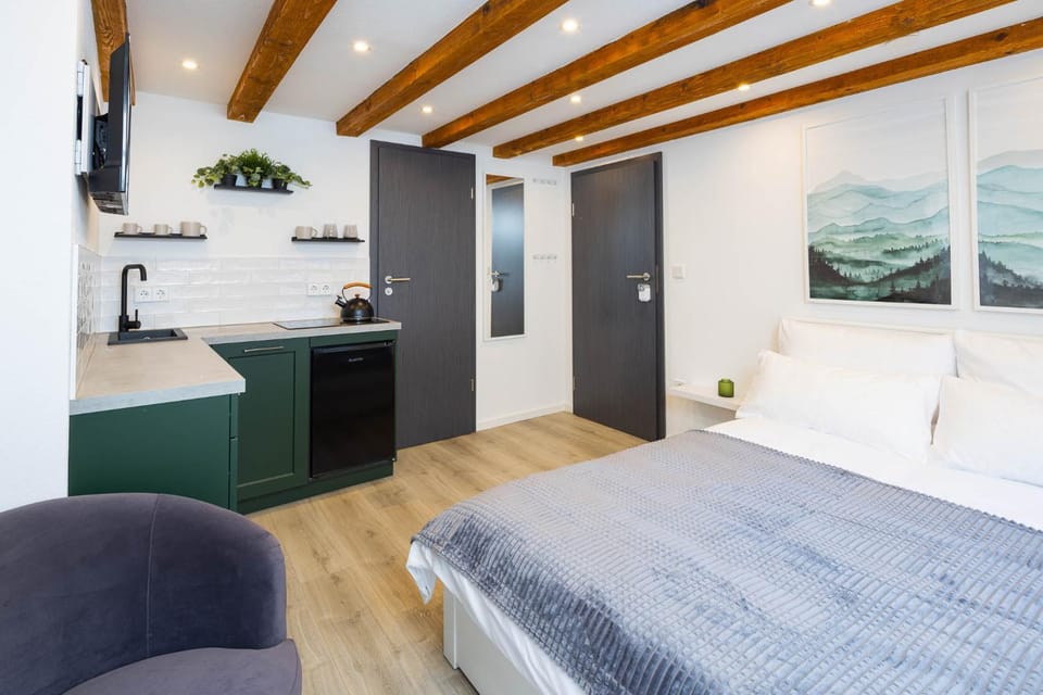 Bed, Kitchen or kitchenette, Photo of the whole room