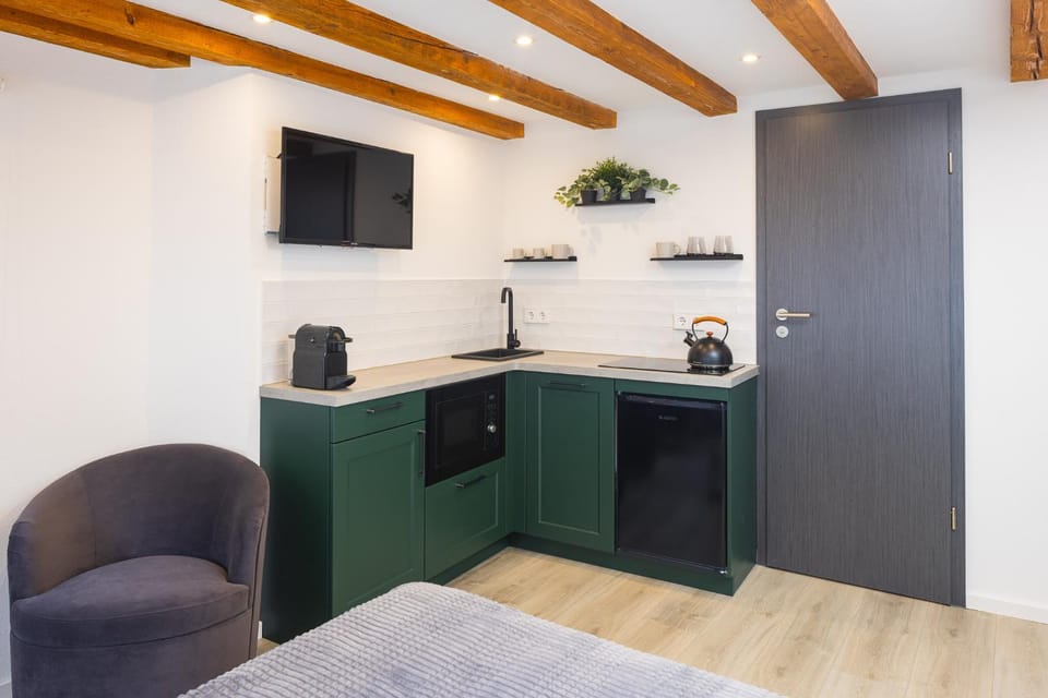 TV and multimedia, Kitchen or kitchenette, minibar, pet friendly, stove