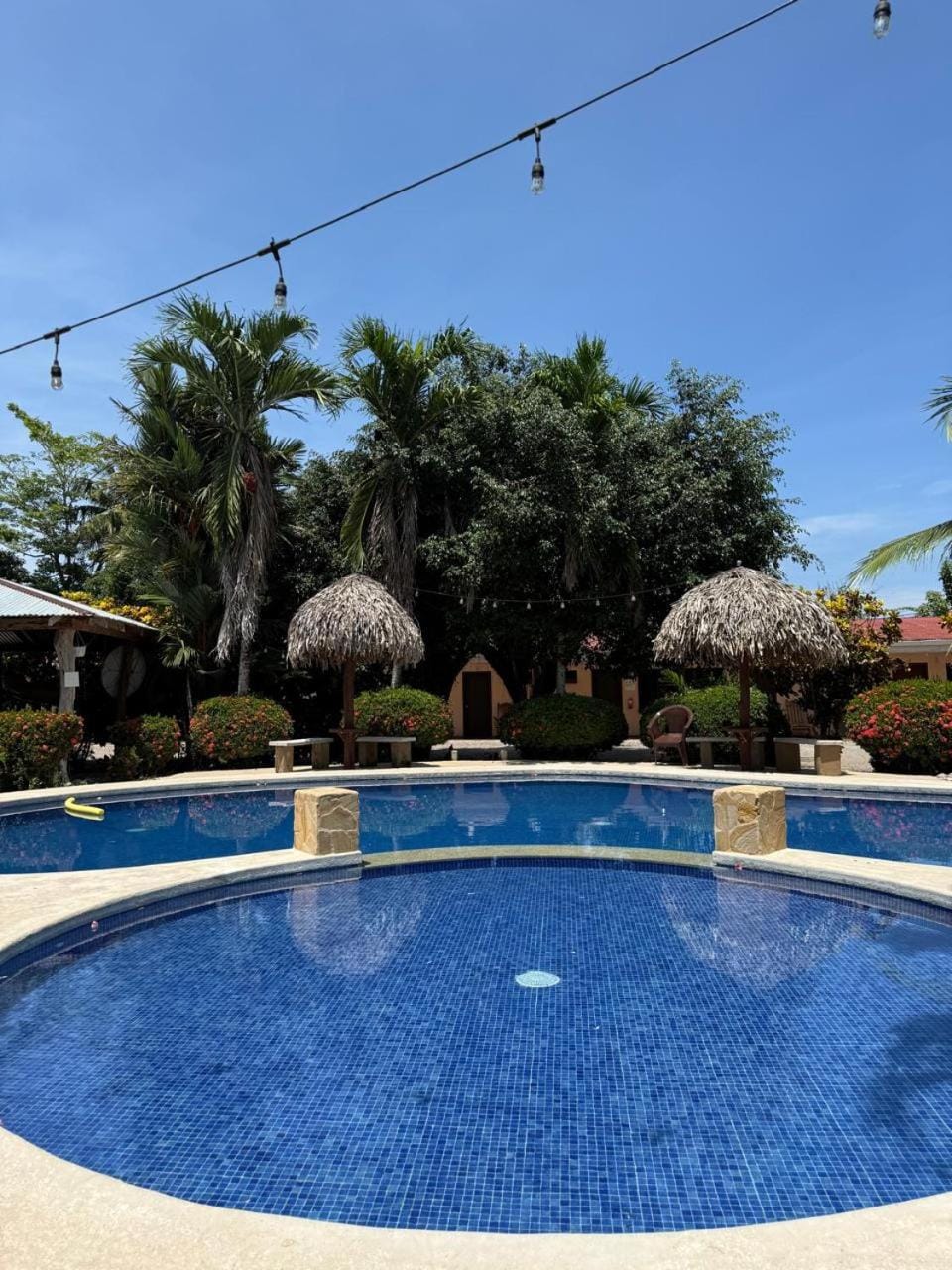Bioluminiscencia Hostel Tours - South Hostel in Guanacaste Province