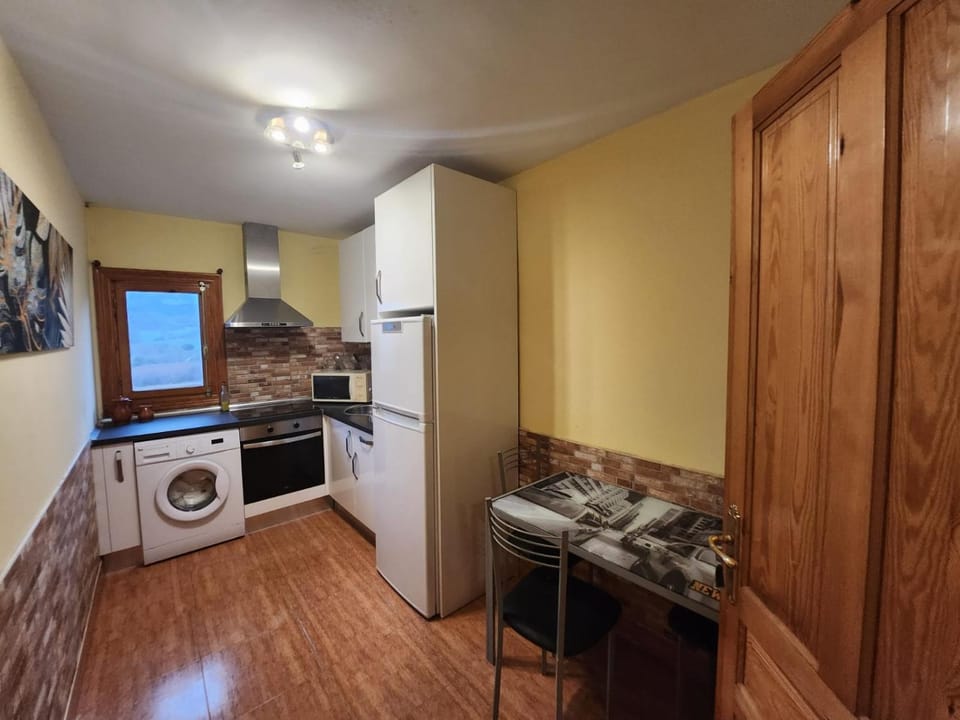 Kitchen or kitchenette, minibar, pet friendly, stove, washing machine