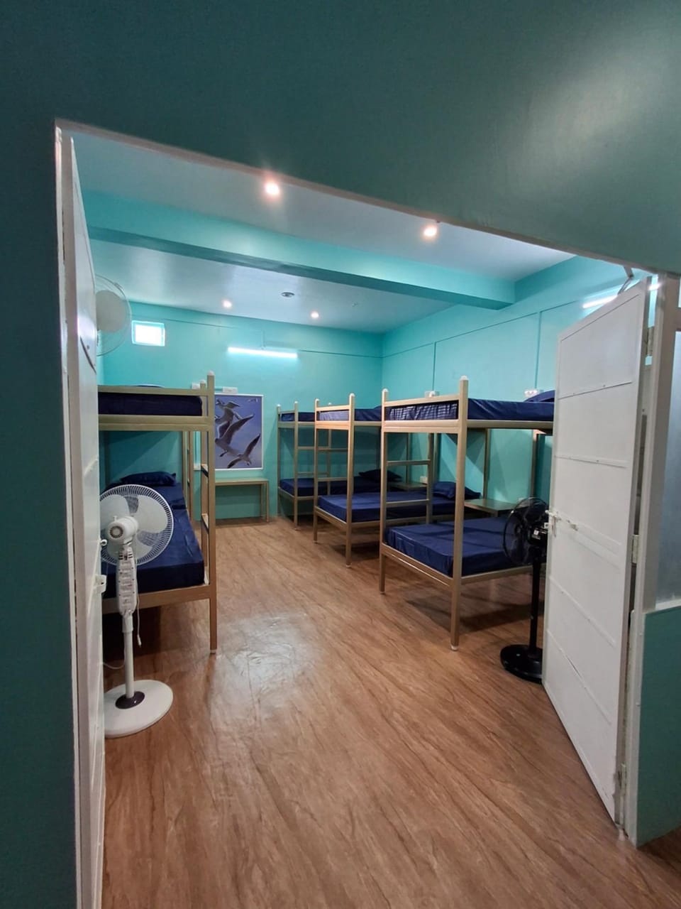 bunk bed