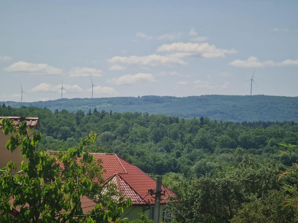 Приватна садиба "Лідія" Apartment in Lviv Oblast