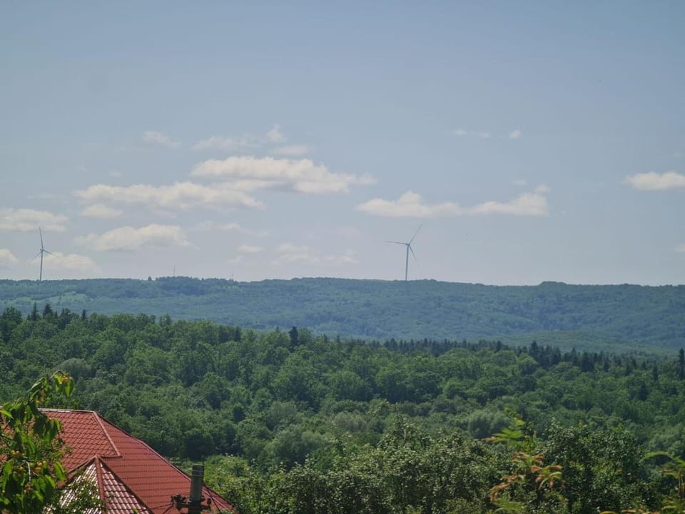 Приватна садиба "Лідія" Apartment in Lviv Oblast