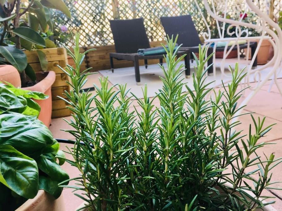 Charming studio mezzanine w/ large terrace - Nice Apartment in Nice