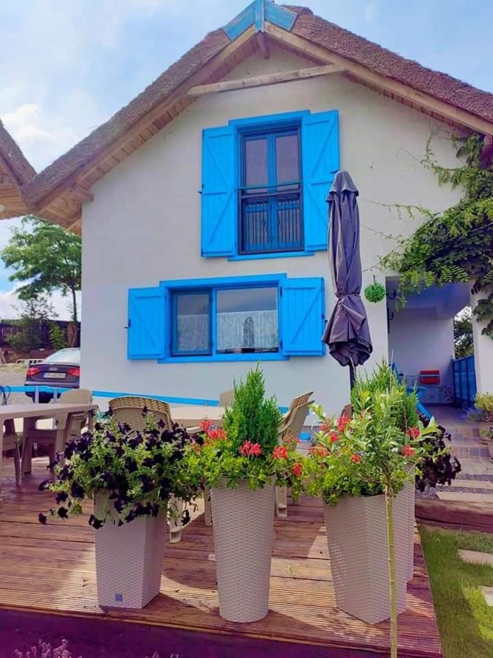 Pensiunea Casa Varvara House in Romania