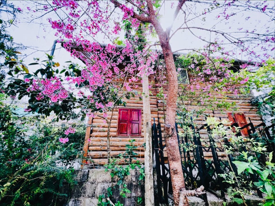 Simplewoods Homestay in Da Lat Chalet in Dalat