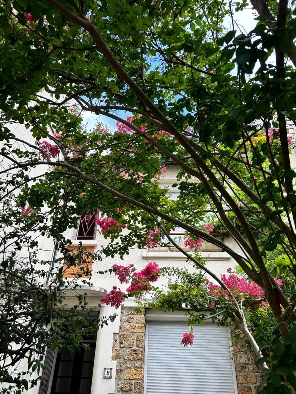 Property building, Spring, Day, Garden view