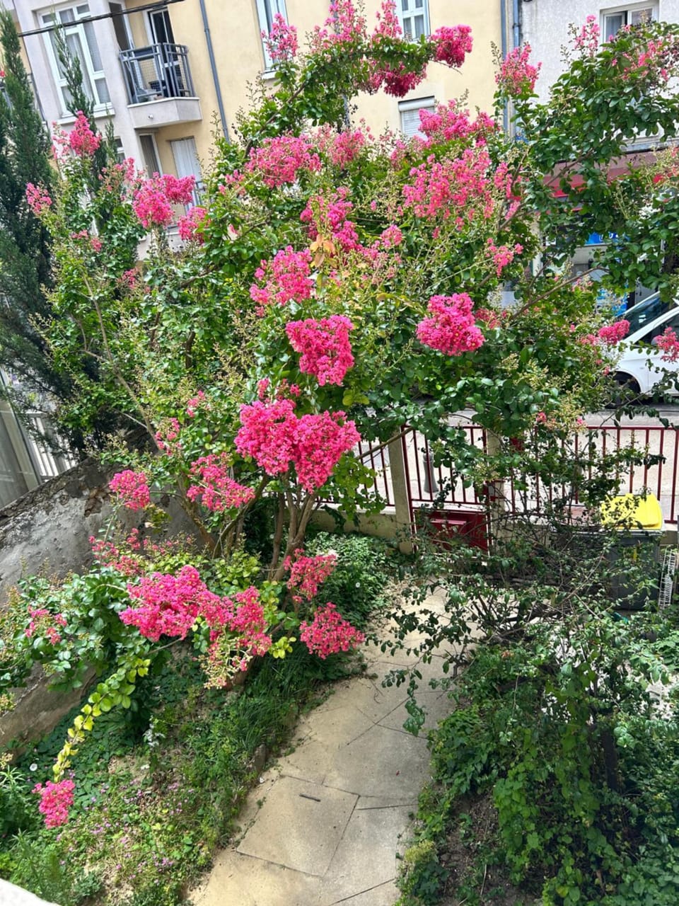 Property building, Garden