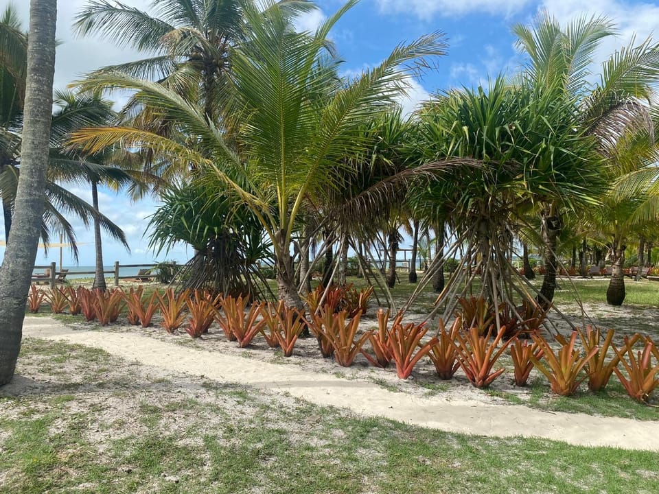 Casa Jasmim Villa Oberoi pé na areia alto luxo Villa in State of Bahia