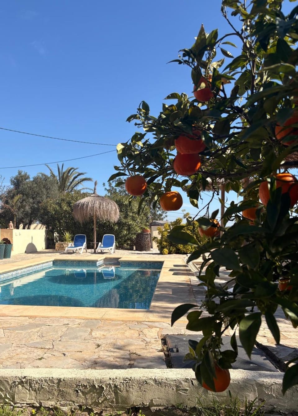 Rustico Appartment 'Olta' in finca, see-and garden side House in Marina Alta