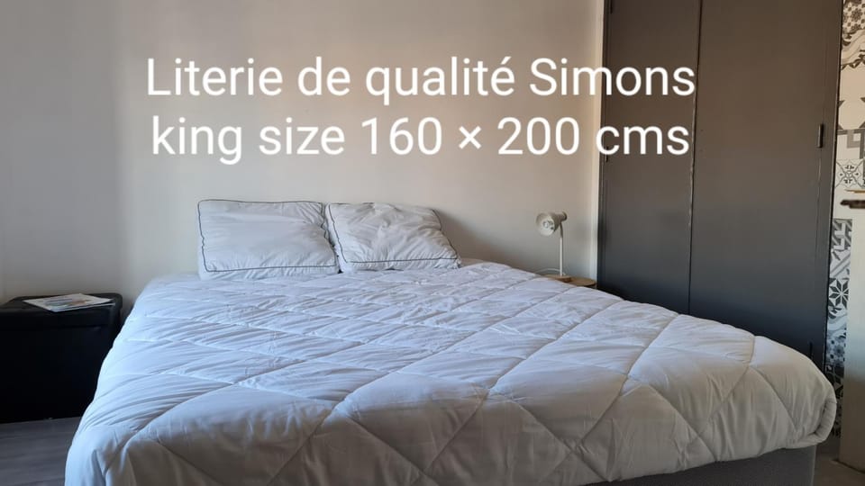Le Studio de la République Apartment in Agde