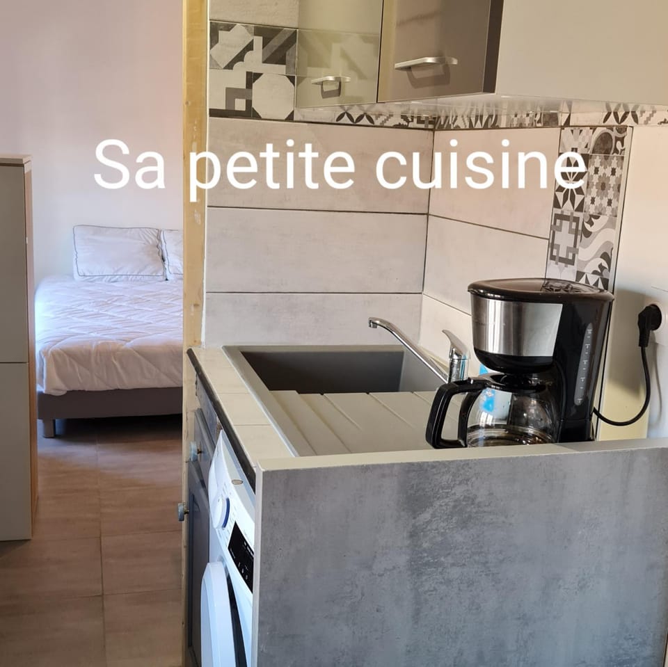 Le Studio de la République Apartment in Agde
