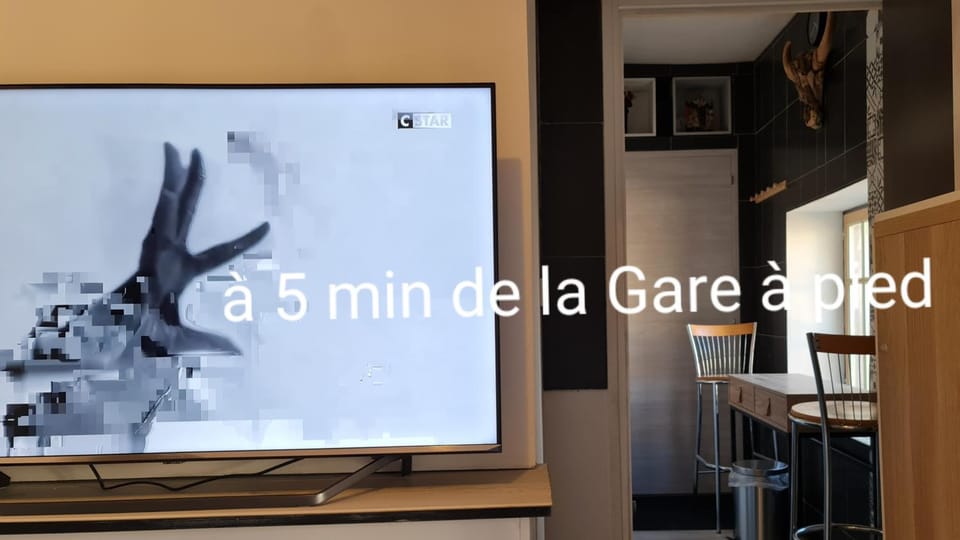 Le Studio de la République Apartment in Agde