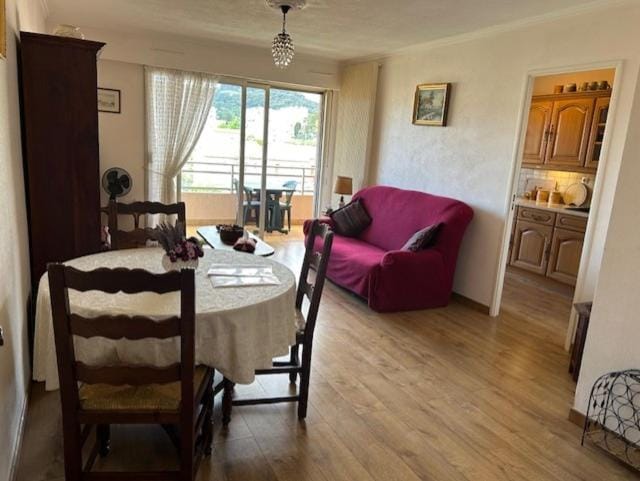 Sunny Balcony Apartment in Vallauris Near Cannes & Antibes Apartment in Mougins